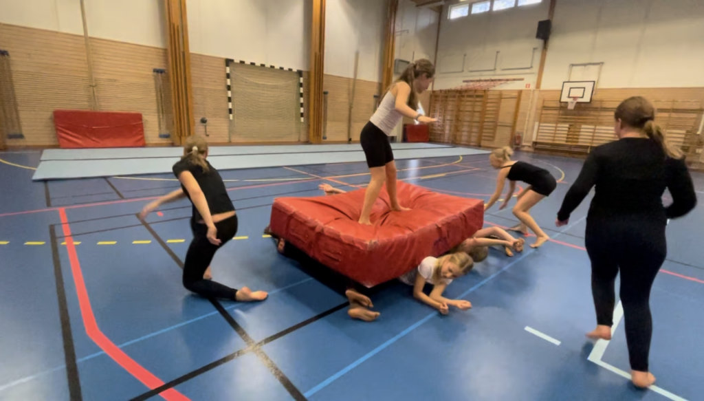 Läger rullande flipperdyna